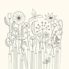 Maybe you would like to learn more about one of these? World Of Flowers A Colouring Book And Floral Adventure Basford Johanna 9780753553183 Amazon Com Books