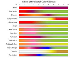 How To Make A Red Cabbage Ph Indicator