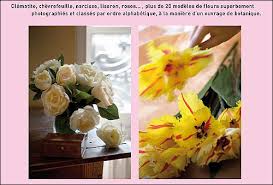 Créations de fleurs éternelles en papier crépon. Fleurs En Papier Crepon Broche Marie Chevalier Achat Livre Fnac