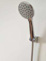 Shower Head With Stainless Steel Hose And Hook