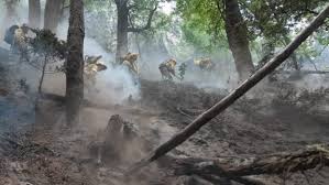 En el programa cnn primera mañana, que se emite en dúplex con cnn en español, el funcionario remarcó que los rayos pueden. Qk86qbnzk1azim