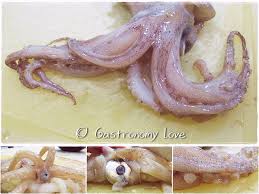 Entrambi si prestano bene ad essere preparati seguendo cotture lunghe a temperature. Totani Calamari E Seppie Come Distinguerli Pulirli E Cucinarli Gastronomy Love