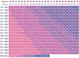 25 Reasonable Healthy Bmi Range For Women