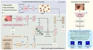 Exploring Explainable AI in the Era of Foundation Models ...