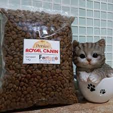 Maybe you would like to learn more about one of these? Panduan Lengkap Cara Merawat Kucing Persia 2020