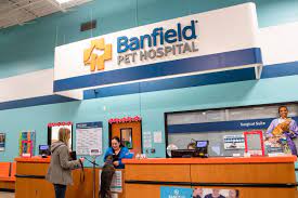 They also appear in other related business categories including pet services, veterinarians, and veterinary clinics & hospitals. Banfield Pet Hospital Near Me Pet S Gallery