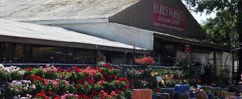 We did not find results for: Harris Nursery