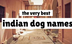 Top latest, modern, and unique indian hindu baby boy names starting with letter a to z. 70 Indian And Hindu Dog Names Great Names For Your Pooch