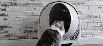 If your cat starts to smell the residue of their urine in certain fabrics and surfaces, they will begin to vinegar has an acidic ph, which neutralizes the alkaline ph of cat urine. Why Does Cat Pee Smell So Bad Litter Robot Blog
