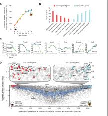 Western star 4964 heritage semi trucks are reliable and durable, offering a smooth ride and advanced features. Multi Omic Profiling Reveals Dynamics Of The Phased Progression Of Pluripotency Biorxiv