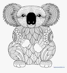 Bear the tow truck driver. Parts Of A Koala Coloring Page Peepsburgh