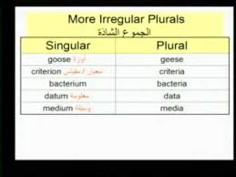 دروس في اللغة الانجليزية للأستاذ خالد الخطيب Singular Plural Nouns تحويل الأسماء في اللغة الانجليزية من المفرد إلى الجمع Lesson 3 Part 3 Youtube