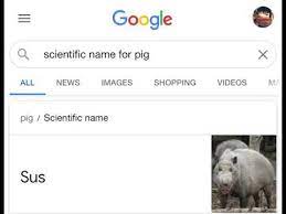 It will be published if it complies with the content rules and our moderators approve it. The Scientific Name For Pig Youtube