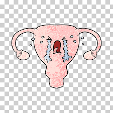 Uterus Png Images Klipartz Uterus endometrium ovary obstetrics and gynaecology , pregnancy transparent background png clipart. uterus png images klipartz