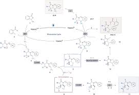 Image result for Schizozygia coffaeoides