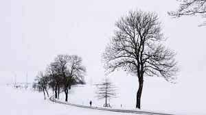 Wann kommt schnee in gta(ps3)? Weisse Pracht Fast Uberall In Nrw Ist Schnee Gefallen Der Bleibt Aber Wohl Nicht Lange Nrw