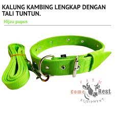 Bagaimana cara ikat tali leher dengan mudah? Kalung Kambing Lengkap Dengan Tali Shopee Indonesia