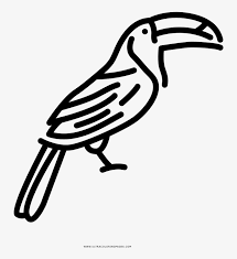 Toucan image coloring page to color, print and download for free along with bunch of favorite toucan coloring page for you might find lots of other interesting coloring picture to work on with. Toucan Coloring Page Illustration Free Transparent Png Download Pngkey