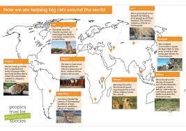 Big Cat Project Map Peoples Trust For Endangered Species
