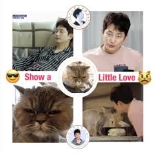 Find out why following some widely held beliefs can harm your cat. Show A Little Love Park Sihoo ë°•ì‹œí›„parksihoossi Com