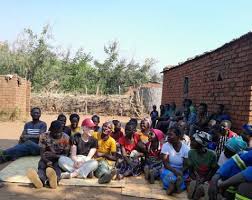 Image result for Viridivia suberosa