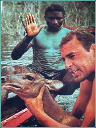 Cullman County, Alabama: combatting cockfighting in a KKK stronghold