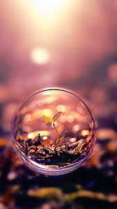 One of the best high quality wallpapers site! Balloon Flight Plant 91681 640x1136 Bubbles Wallpaper Beautiful Macro Photography Beautiful Wallpapers