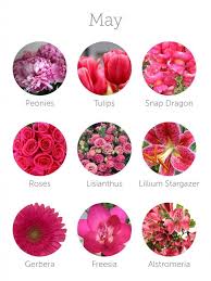 Wedding Flowers In Season May Weddingflowers Seasonal Flowers Flower Guide May Weddings