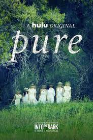The 10 best horror movies on hulu (2019) 25 september 2019. Into The Dark Pure Tv Episode 2019 Imdb