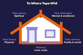 Te Whare Tapa Wha And Wellbeing Health Navigator Nz