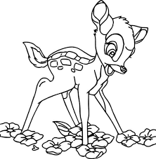 Flower Bambi Coloring Pages In 2020 Animal Coloring Pages Horse Coloring Pages Flower Coloring Pages