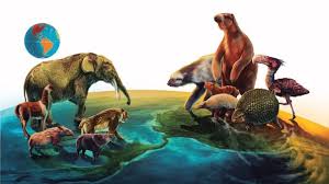 La migración de los animales es mucho más que un simple desplazamiento. Ciencia Por Que Hubo Una Migracion Desigual De Mamiferos Entre Las Americas Hace Millones De Anos Rpp Noticias
