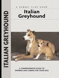 It gets along with children, provided that they know not to treat the dog as a toy. Ebook Italian Greyhound Von Dino Mazzanti Isbn 978 1 59378 981 7 Sofort Download Kaufen Lehmanns De