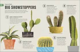 Fwiw, every cactus hobbyist i've ever known will have a stock of stories about how they've managed to kill cacti. Happy Cactus Choose It Love It Let It Thrive Dk Amazon De Pilbeam John Fremdsprachige Bucher