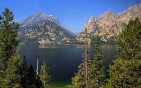 Grand Teton National Park Jenny Lake Lake Mountains Trees Landscape Wallpaper 2400x1502 210354 Wallpaperup
