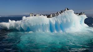 Autor de calentamiento global, al borde del límite publicado el 4 de abril de 2008 por el instituto de estudios transnacionales, inet. Cambio Climatico Calentamiento Global Y Efecto Invernadero Mienciclo Blog