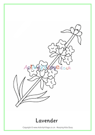 By best coloring pages may 21st 2021. Lavender Colouring Page