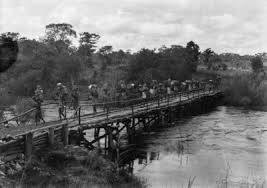 Image result for Trichopteryx fruticulosa