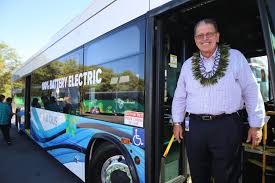 Image result for Maerua bussei