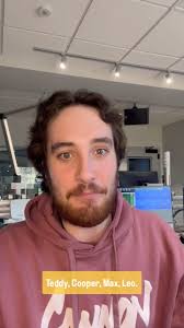 So do Boston Terriers not exist? 🐶