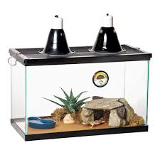 Zilla Desert Starter Kit 10 Gal Petco Leopard Gecko Reptile Terrarium Terrarium For Sale