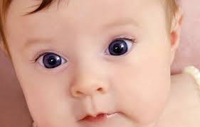 baby eye color calculator baby eyes baby eye color change