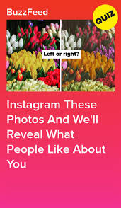 Instagram These Photos And We Ll Reveal What People Like About You Personality Quizzes Fun Quizzes Quiz