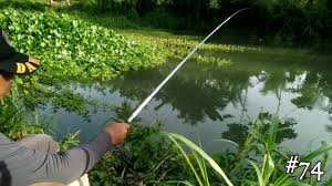 Membuat joran tegek sendiri / membuat joran pancing. Mancing Ikan Nila Pakai Tegek Ternyata Seru By Hilmanarsy 1010