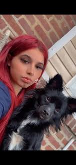 Lost dog in Philadelphia's Oxford Circle area