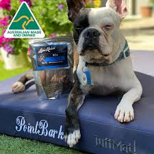 A memory foam dog bed is perfect for pups with hip and joint issues as it's relieving on pressure points. Tuffmat Tough Dog Bed Australia Rover Pet Products Waterproof