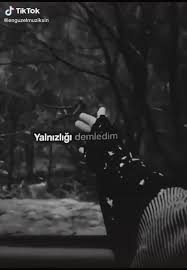 Saskin Avakado Adli Kullanicinin Muzik Videolari Panosundaki Pin Muzik Videolari Blues Muzik Sarkilar