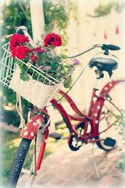 Loveliegreenie Deko Fahrrad Fahrrad Fahrrad Fahren