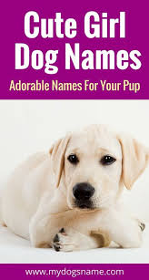 Names My Dog S Name Girl Dog Names Girl Dog Names Unique Dog Names