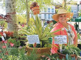 Paper flowers centerpieces online shopping paper flowers. Plant Sales For A Good Cause